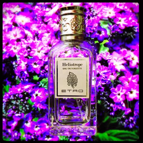 heliotrope fragrance.